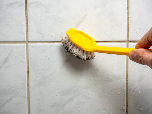 Best Office Mold Removal Services  in China Lake Acres, CA