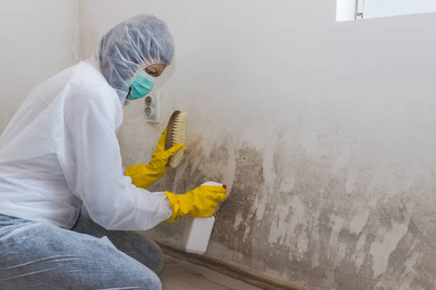 Best Water Damage Restoration  in China Lake Acres, CA