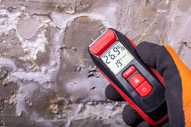 Reliable China Lake Acres, CA Mold Removal Solutions