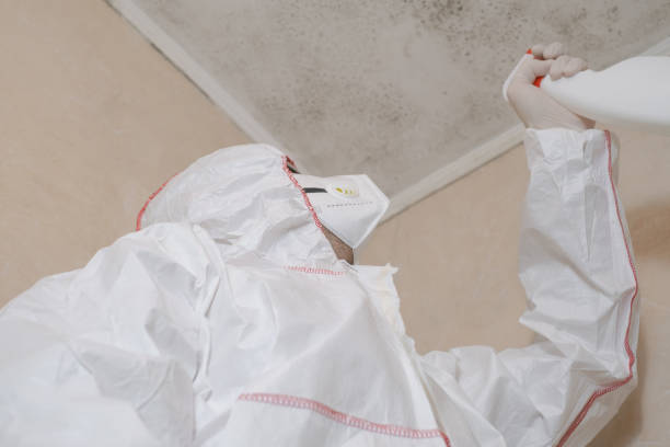 Reliable China Lake Acres, CA Mold Removal Solutions
